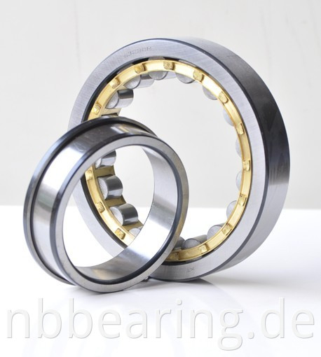 Single Row Cylindrial Roller Bearing NF200